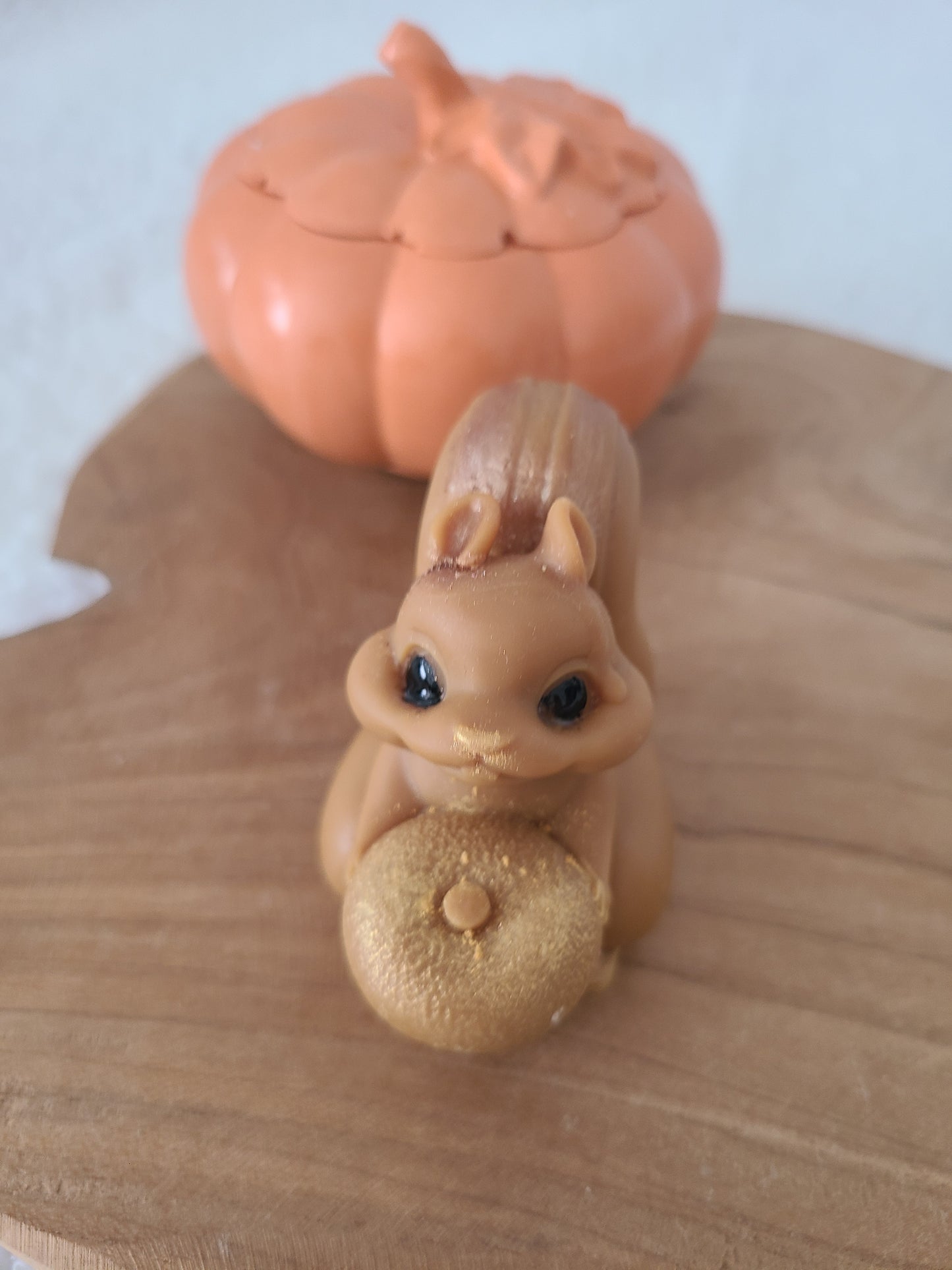 Fondant parfumé Ecureuil parfum rocher praliné