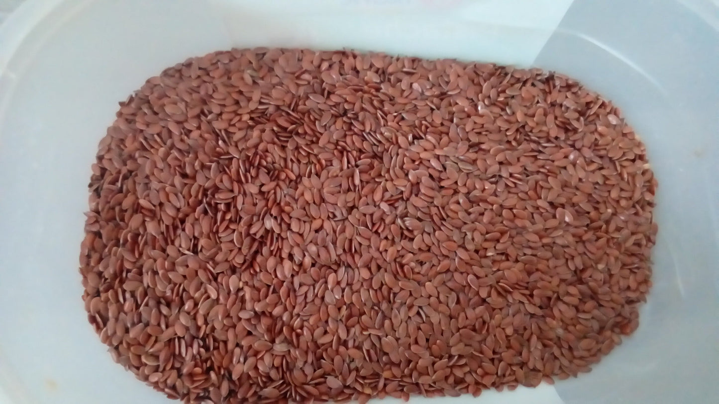Bouillotte chat déhoussable aux graines de lin bio